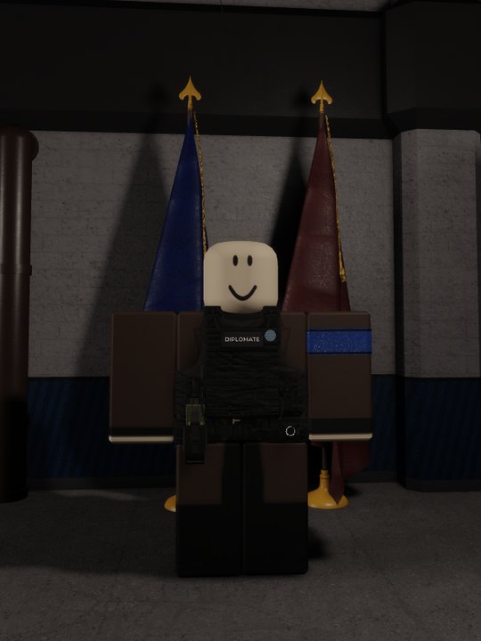 Diplomate en tenue de terrain